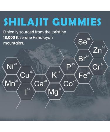 84 000 MG Organic Shilajit Gummies with 85+ Trace Minerals Fulvic Acid Shilajit for Men & Women Energy & Immune Support High Potency Gold Grade Sugar-Free Vegan 100% Natural 60 Gummies 60 Count (Pack of 1) - Buy Online on GoSupps.com