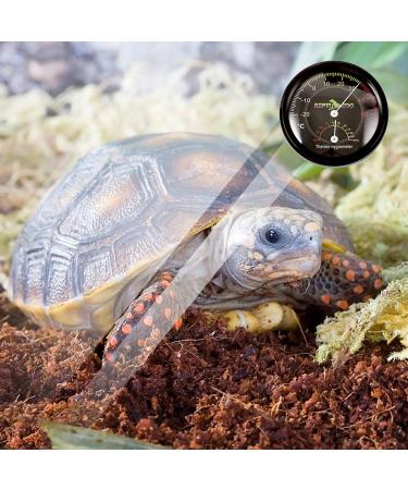 Mallalah Needle Hygrometer Terrarium Thermometer Humidity Meter Pressure Gauge for Amphibian Reptiles Lizard Snake Reservoir ROHS Certified - Buy Online on GoSupps.com