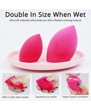 BEAKEY 5 Pcs Oblique Cut Makeup Sponge Set - Beauty Sponge for Liquid, Cream, and Powder Makeup - Multi-colored Sponges - Buy Online on GoSupps.com