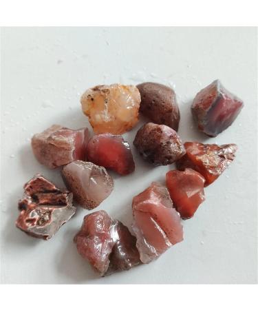 Room Decoration 1pc/100g Natural Red Agate Stone Fish Tank Decoration Raw Material of Agate Chalcedony Body Raw Gemstone Specimen Collection Gift (Color : 100g Size : 1.5-3cm) 1.5-3cm 100g - Buy Online on GoSupps.com