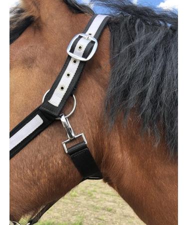 Premium Cold Blood Horse Halter | Adjustable XXFull Stable Halter with 2 Chin Straps - Black & White - Buy Online on GoSupps.com