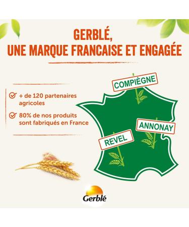 Gerbl Vitality Sesame Biscuits Light in sugars Without palm oil 40 Pouches of 3-120 cookies 1.5 kg - Buy Online on GoSupps.com