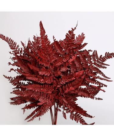 Preserved Real Green Ferns Dried Green Fern Tips Stems Wedding Garlands Home Decorations Bouquets Flower Arrangements Wall Hanging Dried (Red) Dark Red