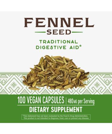 Nature's Way Fennel Seed 480 mg - 100 Vegan Capsules for Digestive Health - Buy Online on GoSupps.com
