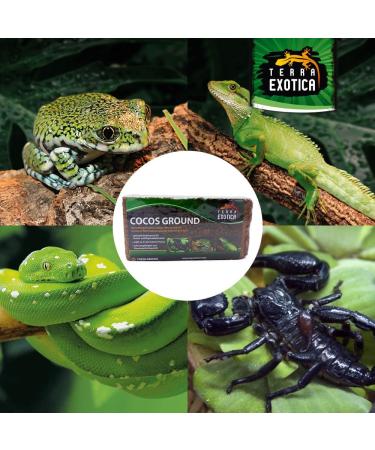Coco's Ground Coconut Humus for Terrariums | 9L Substrate for Amphibians Reptiles & Vertebrates | Organic Coconut Fiber Litter (650g Brick) - Buy Online on GoSupps.com
