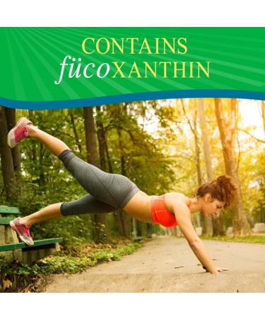 Fucoxanthin Weight Loss Capsules with Green Coffee Bean Extract - 90 Count - Buy Online on GoSupps.com