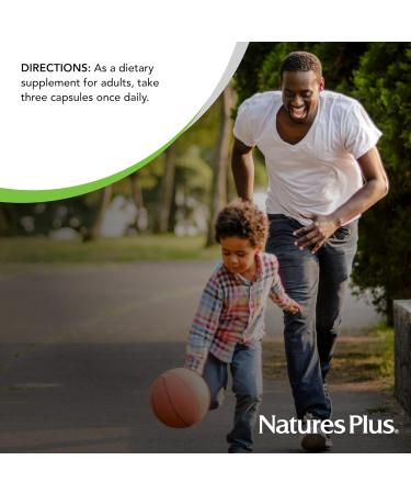 NaturesPlus AgeLoss Prostate Support - 90 Capsules - with Zinc Lycopene Vitamin E Pumpkin Seed & Saw Palmetto - Vegetarian Gluten Free - 30 Servings - Buy Online on GoSupps.com