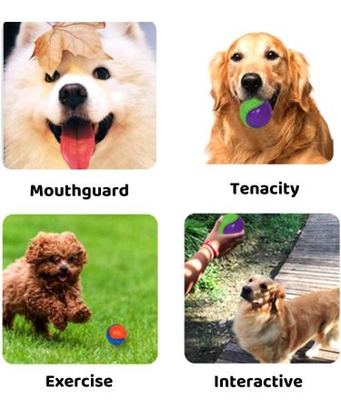 3Pcs Squeaky Dog Ball Set - Interactive Puppy Chew Toys for Teeth Cleaning and Training - Buy Online on GoSupps.com