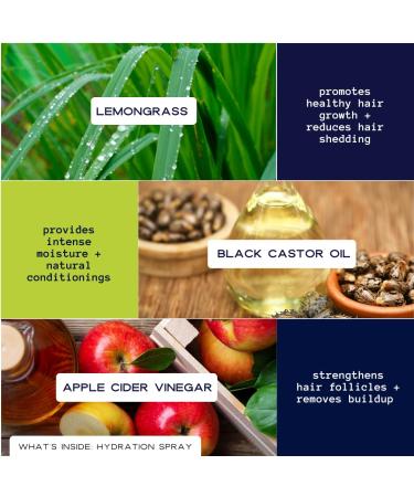 YOUNG KING HAIR CARE Daily Hydration Spray for Locs Dreads Braids and Twists | Lemongrass and Black Castor Oil | Scalp Moisturizer Dreadlock Spray - Natural Loc Dreads Care and Maintenance (8oz) - Buy Online on GoSupps.com