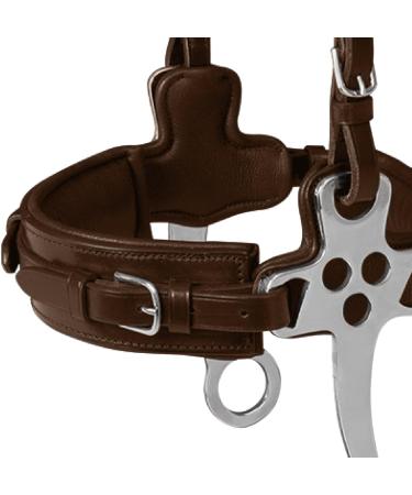 WALDHAUSEN X-Line Hackamore Bridle - Dark Brown Stainless Steel for Warmbloods - Full Size | Premium Horse Gear - Buy Online on GoSupps.com