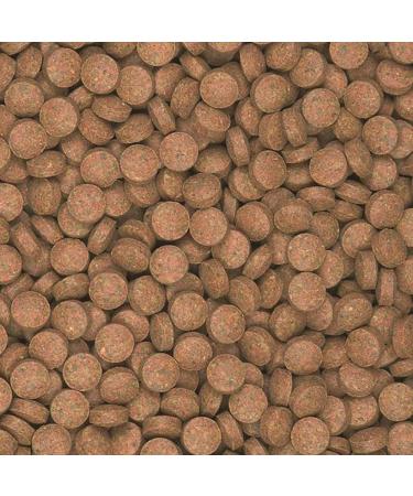 SUPERVIT Tablets B 50ml / 36g - Basic Tablets for Bottom Dwellers Contains: Bio-Active Immunostimulant Beta-glucan boosts immunity - Buy Online on GoSupps.com