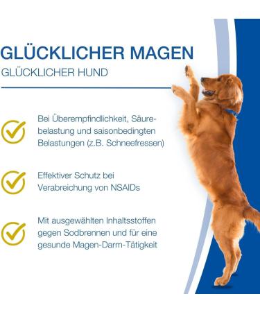 Nutrilabs Canicox HD Journey Tablets - Joint Support for Dogs with Glucosamine Chondroitin & Stomach Herbs - 100 Chewable Tablets - Buy Online on GoSupps.com