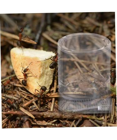 VILLCASE 4 Pcs Ant Water Feeder Mini Water Dispenser Ant Drinking Tools Ant Water Drinking Bowl Pet Ant Nest 4x4cmx2pcs Transparent Colorx2pcs - Buy Online on GoSupps.com