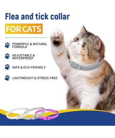 Kreezypet Flea and Tick Collar for Cats | 24-Month Protection | Essential Oils | 19 Inches | 3-Pack | International Shipping - Buy Online on GoSupps.com