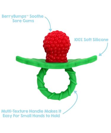 RAZBABY Razbuddy Razberry Teether/Pacifier Holder with Removable Baby Teether Toy - BPA Free - Bunny Design | 0M - Buy Online on GoSupps.com