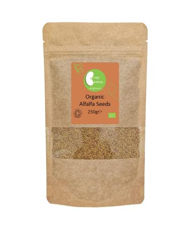 Organic Alfalfa Seeds (Sprouting) - Certified Organic - by Busy Beans Organic (250g)