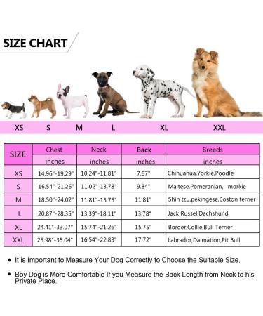 Buy Queenmore Dog Life Jacket - Ripstop Swimming Vest for Small & Large Dogs | Lifeguard with Handle for Kayaking - Fuchsia M - Buy Online on GoSupps.com
