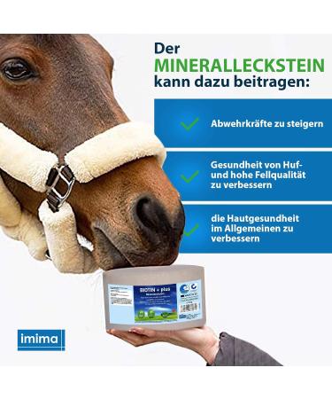 Imima Mineralleckstein Horse Biotin + Plus 4-Pack Salt Lick Stones (3kg each) - Ideal for Horses Sheep Goats & Wildlife - Buy Online on GoSupps.com