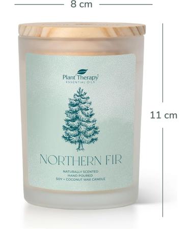Buy Plant Therapy Northern Fir Candle - 8 oz Hand-Poured Coconut & Soy Wax Refreshing Forest Scent Frosted White Jar with Wooden Lid - International Shipping Available - Buy Online on GoSupps.com