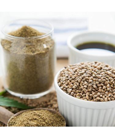 Natures Finest Bio Hemp Protein 1000g - 100% Organic Vegan Protein from Germany | Low Carb Hemp Seeds - 1 Pack - Buy Online on GoSupps.com