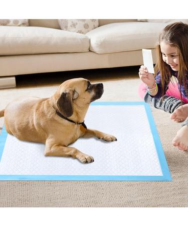 Puppy Pee Pads 6-Layer Design | Leak-Proof Disposable Pet Training Pad | Small Size 13'' x 17'' (20-Count) | For Dogs, Cats, and Rabbits - Buy Online on GoSupps.com