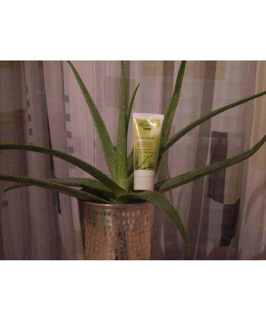 Aloe Vera Gold Toothpaste 75 ml - Natural Whitening & Refreshing | International Shipping - Buy Online on GoSupps.com
