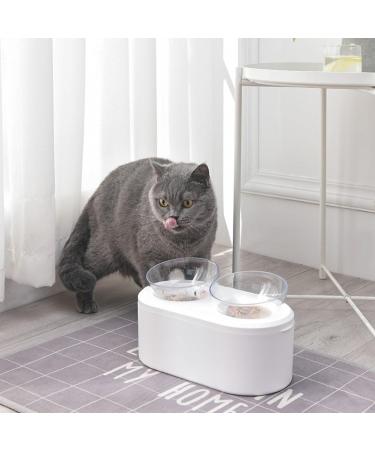 Pet Dubbed Removable Feed Storage for Dogs & Cats | Washable Sloping Mouth Design Dual Use Food Bowl - Shop Internationally! - Buy Online on GoSupps.com