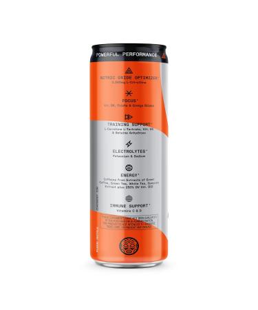 ZOA+ Plus Mandarin Orange Grapefruit Pre-Workout Drink - 12 Fl Oz (Pack of 12) | Zero Sugar, Nitric Oxide, Antioxidants, Electrolytes, Natural Caffeine | Gluten Free & Keto Friendly - Buy Online on GoSupps.com