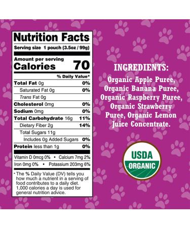 Paw Patrol Really Raspberry Organic Mixed Fruit Squeeze Pouch 3.5 oz. - Pack of 10 | Healthy Snack for Kids - Buy Online on GoSupps.com