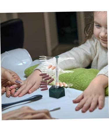 minkissy Acrylic nail display stand holder nail sample sticks nail practice display stand nail stands for nail art clear nail sample stick nail art stand nail art supply spiral decorate - Buy Online on GoSupps.com