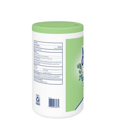 150 ct. Wet Ones Antibacterial Eucalyptus & Mint Hand Wipes Canister | Hand Sanitizer Wipes | Soft Textured & Lightly Scented | 1 Pack - Buy Online on GoSupps.com