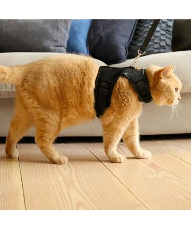 Bella & Balu Cat Harry - Durable Breast Dish with Leash Soft Lining & Breathable Mesh for Comfortable Walking (Small Black) - International Shipping Available - Buy Online on GoSupps.com
