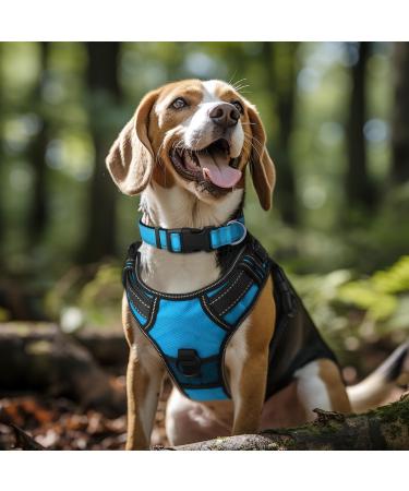 Buy Joytale Reflective Dog Collar for Small Dogs - Blue S (Pack of 1) | International Shipping Available - Buy Online on GoSupps.com
