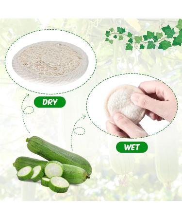 Exfoliating Loofah Sponge Pad - 36 Pieces, Natural Bath and Shower Scrubber for Face and Body - Handheld Manual Cleanser and Massager for Men and Women - Buy Online on GoSupps.com