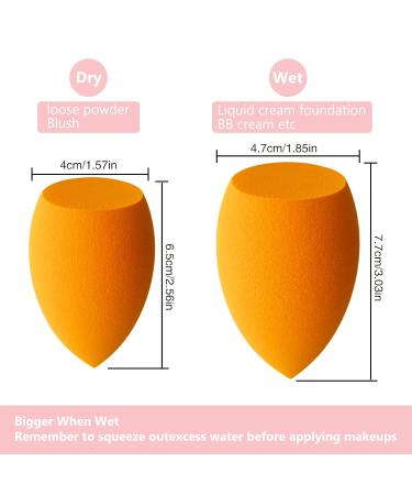 Dolovemk Makeup Sponge - Soft Latex-Free Beauty Blender for Smooth Foundation & Powder Application - 1 Piece Pack - Buy Online on GoSupps.com