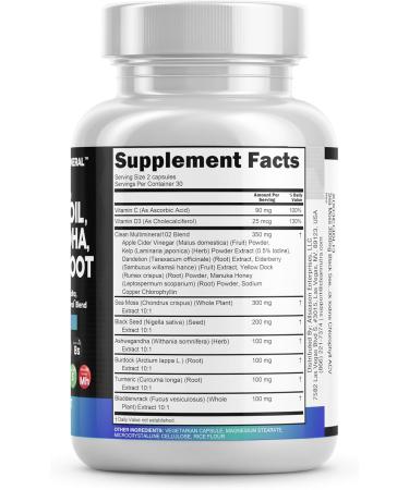 Sea Moss & Black Seed Oil Supplement - 3000mg Sea Moss 2000mg Black Seed Oil & More | 2-Pack of Ashwagandha Turmeric Bladderwrack & Vitamins for Immunity & Wellness - International Shipping Available - Buy Online on GoSupps.com