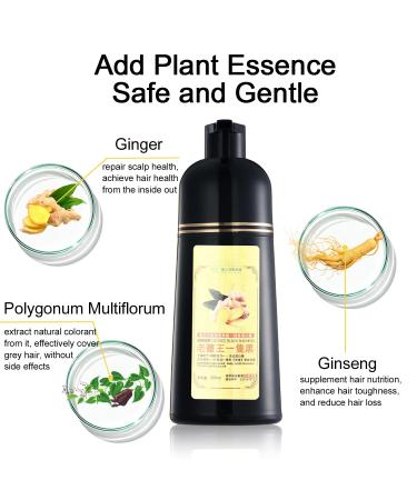 Ginger Essence Semi-Permanent Hair Dye Shampoo - 3-in-1 Black Color for 100% Gray Coverage 16.9 Fl Oz - Unisex Hair Care Solution - Buy Online on GoSupps.com