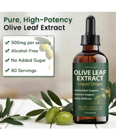 Olive Leaf Extract Liquid Drops With Oleuropein & Hydroxytyrosol Immune Support Supplement for Daily Wellness Antioxidant Support Non-GMO Vegan Alcohol-Free High-Concentration Formula 2 Fl Oz - Buy Online on GoSupps.com