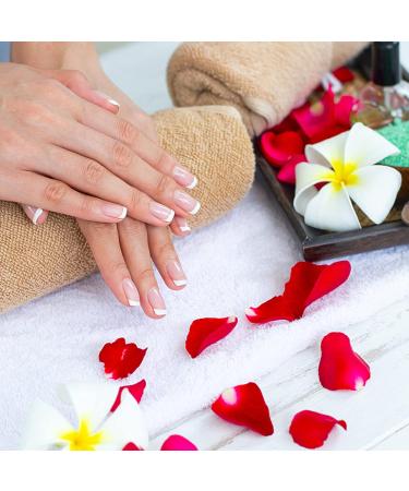 120 Pieces Glossy Fake Nails | Self-Adhesive Artificial Nail Tips in 12 Sizes - Color Gradient Acrylic Fingernails - Buy Online on GoSupps.com