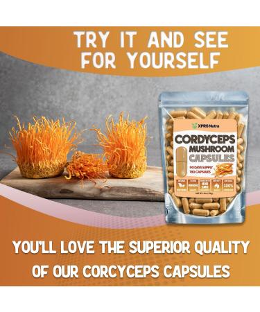 XPRS Nutra Cordyceps Mushroom Powder Capsules - 180 Count (90 Day Supply) - Premium Cordyceps Mushroom Capsules Made from Real Mushrooms (Cordyceps) for Stamina and Performance - Buy Online on GoSupps.com