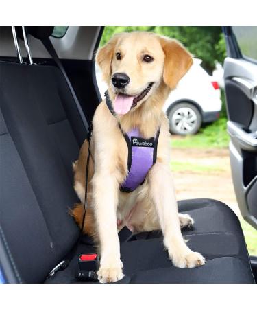 Pawaboo Dog Car Seat Belt - Durable 32-Inch Safety Belt with Carabiner & 360 Rotatable Hook for Dogs - Optimal Safety for Car Travel - Buy Online on GoSupps.com