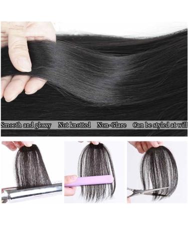 Bangs Hair Clip Oblique Bangs Wig Natural Forehead Partial Air Bangs Wig Female Invisible Seamless Fake Bangs Bangs Clip in Hair(Color:T1B/613) - Buy Online on GoSupps.com