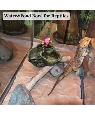 Durable Resin Reptile Food and Water Bowl for Snakes, Frogs, Geckos, Tortoises, Lizards, and Chameleons - Buy Online on GoSupps.com