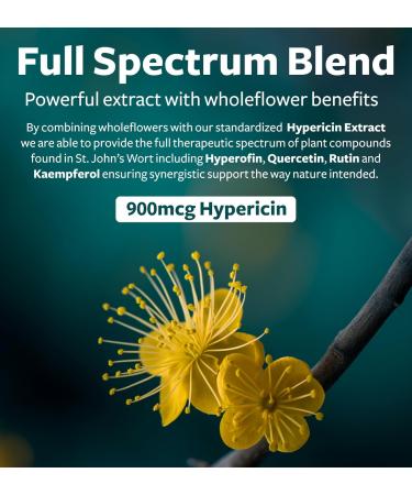 Black Seed Oil & St. John's Wort (1-Month Supply) Serene Blend Bundle of Black Seed Oil (60 Capsules) Cold-Pressed Nigella Sativa & St. John's Wort (60 Capsules) with Powerful 900mcg Hypericin - Buy Online on GoSupps.com