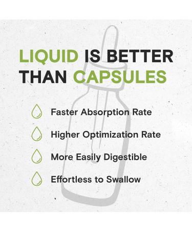 White Willow Alcohol-Free Liquid Extract - 2 FL OZ Tincture Supplement - Buy Online on GoSupps.com