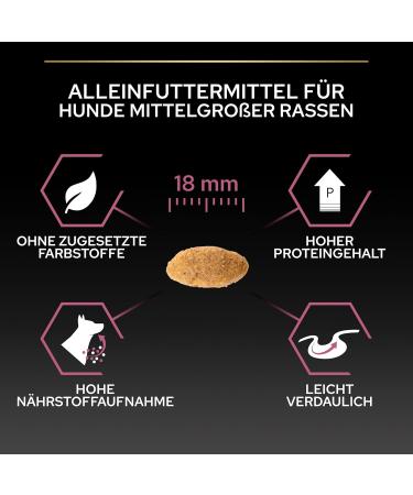 PRO PLAN Medium Adult Sensitive Skin Rich in Salmon - 14kg - Dry Food for Medium Adult Dogs with Sensitive Skin - Buy Online on GoSupps.com