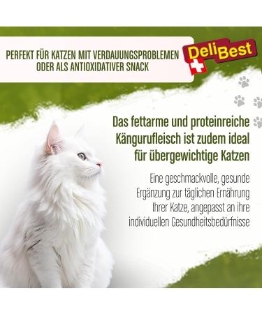 Delibest Kangaroo Cat Snack with Turmeric - Digestive Antioxidant Low-Fat Cat Treats | Cereal-Free Protein-Rich | 45g - Buy Online on GoSupps.com