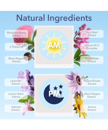 Jet Lag AM & PM Travel Patches Natural Day & Night Support for Travelers Energy Focus & Restful Sleep with B12 Rhodiola Valerian Lemon Balm Lavender & More 8 Topical Patches Jet Lag AM/PM (1 count pack of 8) - Buy Online on GoSupps.com