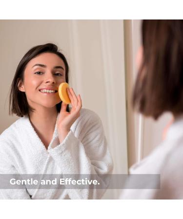 Massaging Dry Brushing Body Brush + Compressed Facial Sponges Set for Softer, Clearer, More Beautiful Skin Naturally - Buy Online on GoSupps.com