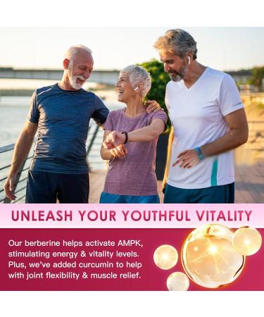 NATURE TARGET Berberine HCl 1200mg Berberine Supplement with Ceylon Cinnamon Chromium - Supports Immune Gastrointestinal & Digestive Health Non-GMO 120 Capsules 120 Count (Pack of 1) - Buy Online on GoSupps.com